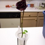 I left it there for a week because it was still pretty