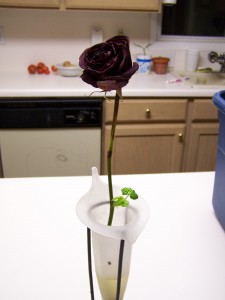 I left it there for a week because it was still pretty