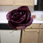 Dried beautifully