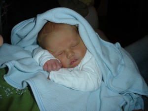 Doodle, 3 days old