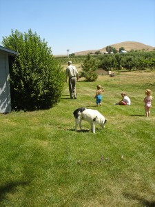Loved Idaho