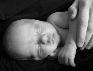 DSC02238cropbw