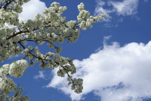 clouds 2