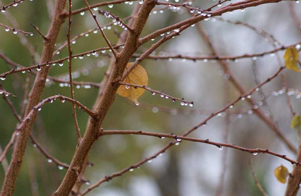rain 2