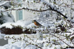 winter 3