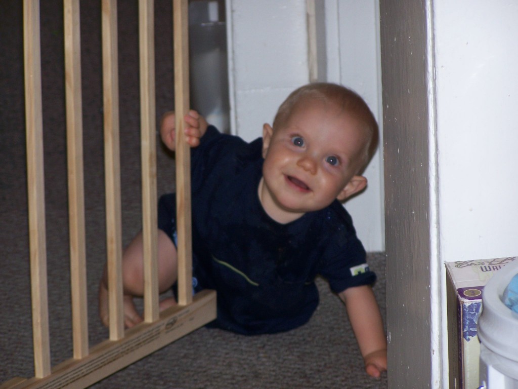 First you go through the baby gate...