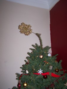 A pine tree will do that…