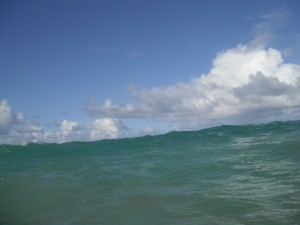 DSCF0929